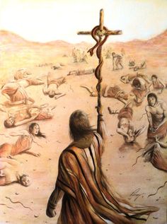 7c50e94139c4e58d0a5bd6ac4a241baa