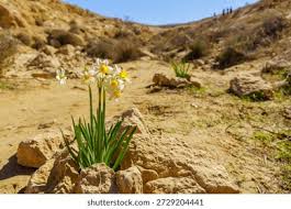 ดาวน์โหลด_2